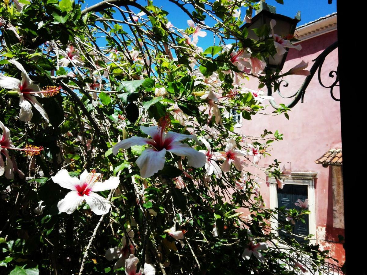 Venetian Well Cozy Apartment Corfu Old Town Buitenkant foto